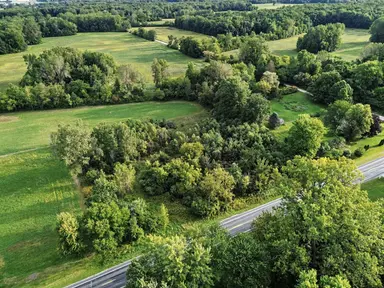 5901 Milan-Oakville Road, Milan, MI 48160 — photo 4