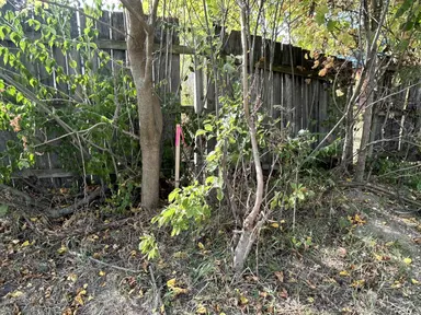 1936 Mccartney Avenue, Ypsilanti, MI 48198 — photo 2