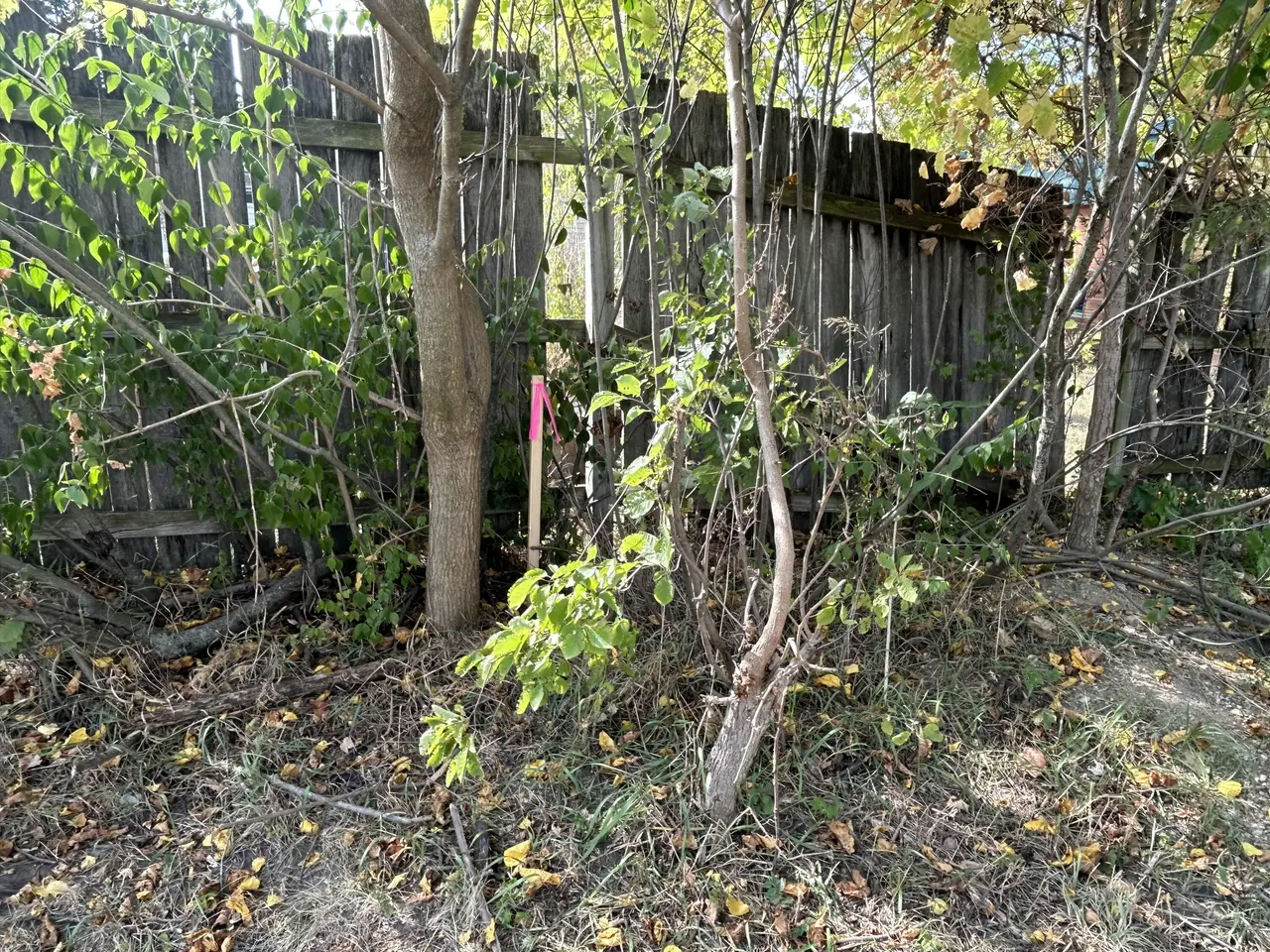1962 McCartney Avenue, Ypsilanti, MI 48198