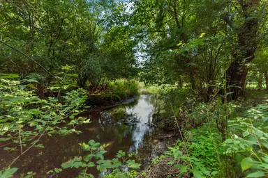 6607 Fleming Creek Drive, Ypsilanti, MI 48198 — photo 5