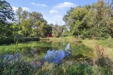 3557 Valentine Road, Whitmore Lake, MI 48189 — photo 2