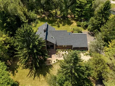 3447 River Pines Drive, Ann Arbor, MI 48103 — photo 4