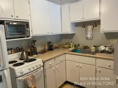 442 S 1st Street 4, Ann Arbor, MI 48103 — photo 5