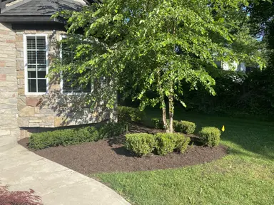 9915 Wayne Road, Livonia, MI 48150 — photo 3