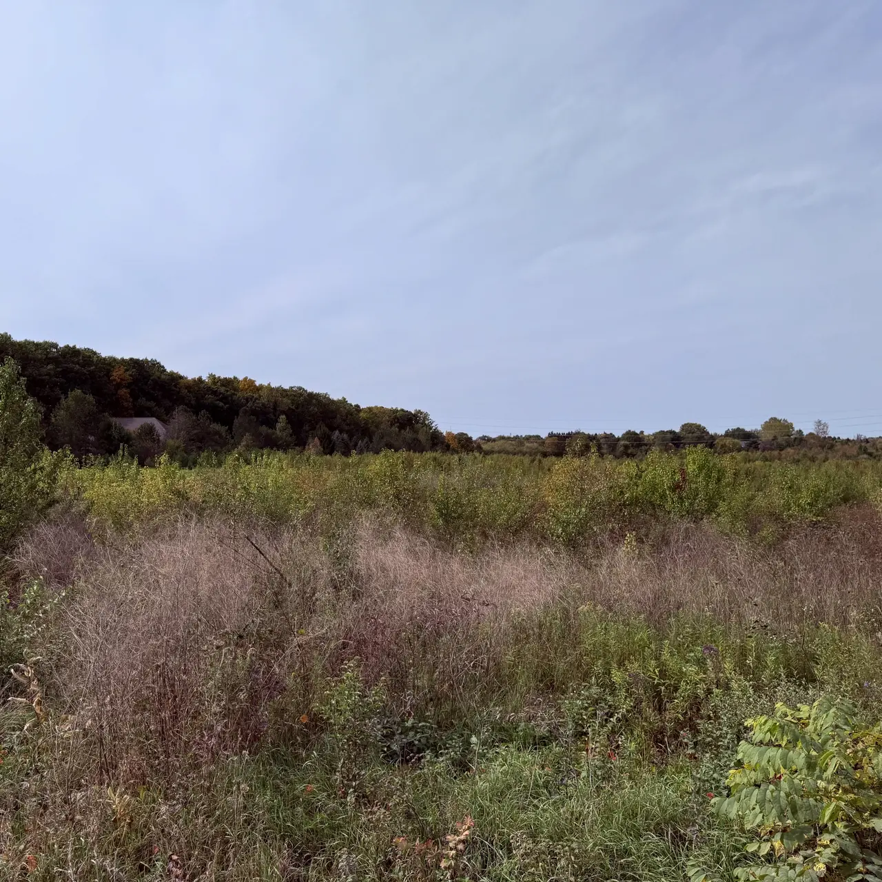 Lot 1 Munger Road, Ypsilanti, MI 48197