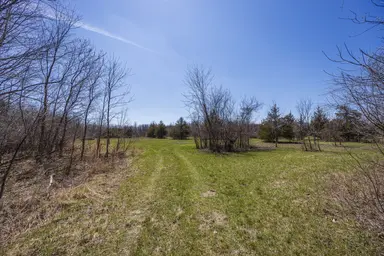 00000 Jennings Road, Whitmore Lake, MI 48189 — photo 4