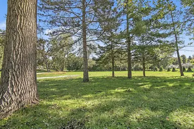 Cottontail Lane, Ann Arbor, MI 48103 — photo 2