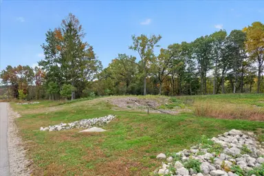 6854 Morrison Hills Court, Dexter, MI 48130 — photo 3