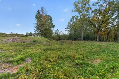 6854 Morrison Hills Court, Dexter, MI 48130 — photo 4