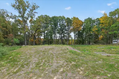6854 Morrison Hills Court, Dexter, MI 48130 — photo 5