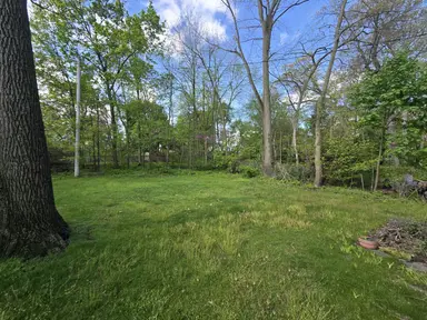 1707 Dexter Avenue, Ann Arbor, MI 48103 — photo 4