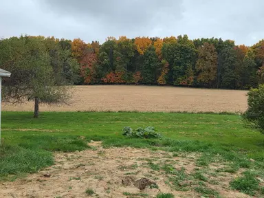 2851 N Dancer Road, Dexter, MI 48130 — photo 2