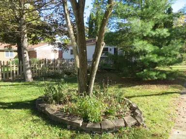3344 Rosedale Street, Ann Arbor, MI 48108 — photo 3