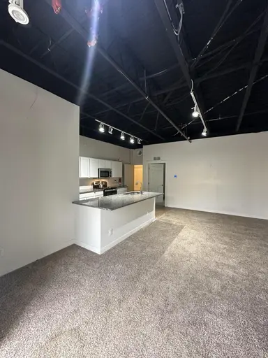 201 N Park Street F, Ypsilanti, MI 48198 — photo 4